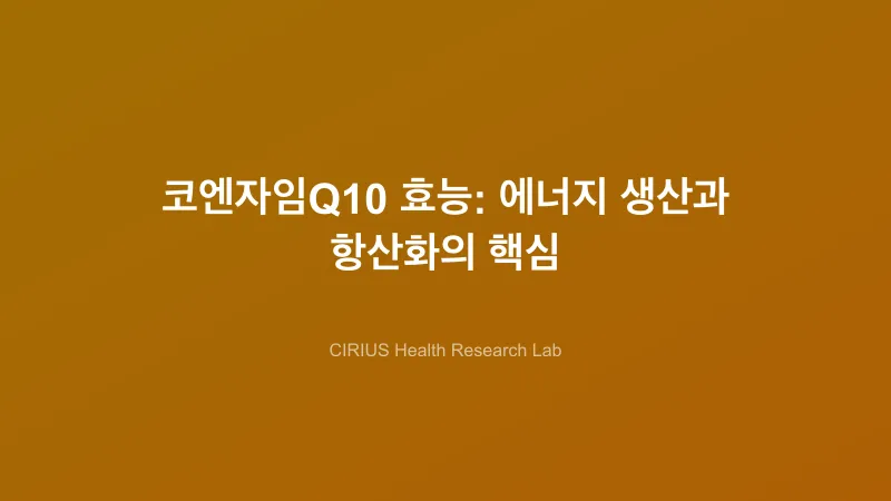 코엔자임Q10 효능: 에너지 생산과 항산화의 핵심