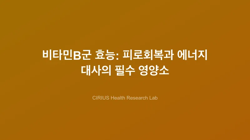 비타민B군 효능: 피로회복과 에너지 대사의 필수 영양소