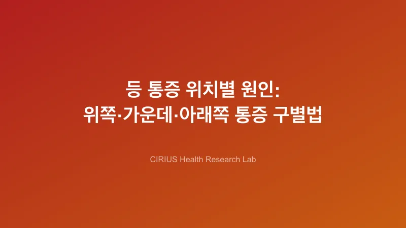등 통증 위치별 원인: 위쪽·가운데·아래쪽 통증 구별법