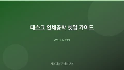 데스크 인체공학 셋업 가이드