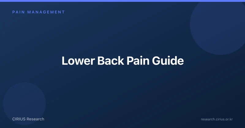 Lower Back Pain Guide