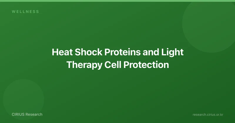 Heat Shock Proteins and Light Therapy Cell Protection
