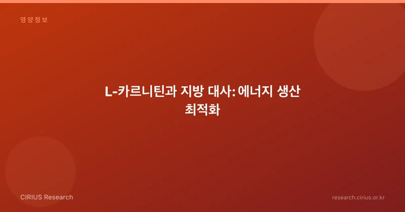 L-카르니틴과 지방 대사: 에너지 생산 최적화